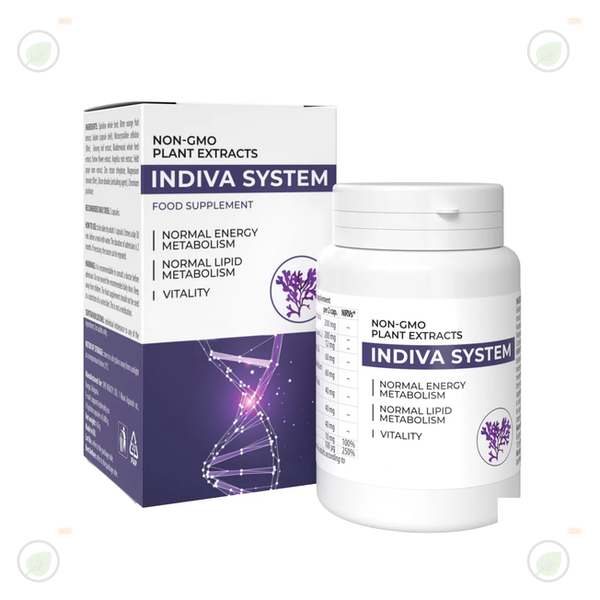 InDiva System